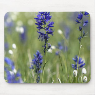 Een bergweide met wilde bloemen waaronder muismat