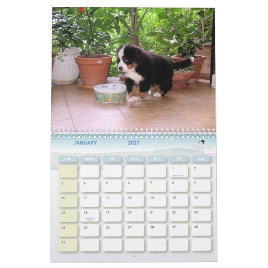 Een Berner Jaar Kalender (Jan 2027)