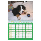 Een Berner Jaar Kalender (Mar 2027)