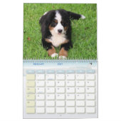 Een Berner Jaar Kalender (Feb 2027)