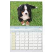 Een Berner Jaar Kalender (Feb 2026)