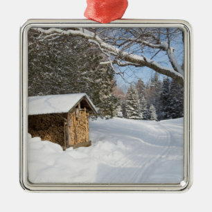 Een besneeuwd landschap bij het Little Lyford Pond Metalen Ornament