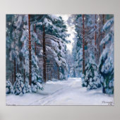 Een besneeuwd pad in het bos poster (Voorkant)