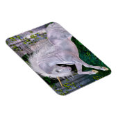 Een betoverende avond flexi magneet (Rechterzijde)