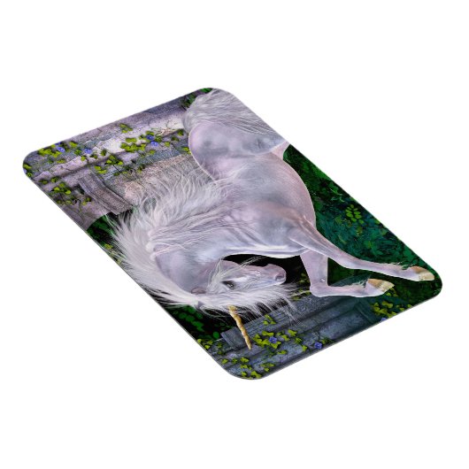 Een betoverende avond flexi magneet (Rechterzijde)