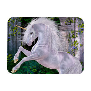 Een betoverende avond flexi magneet