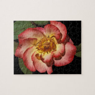Een Betty Boop Roos Puzzle Legpuzzel