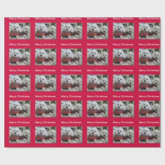 Een bichon-kerst. cadeaupapier (Vlak)