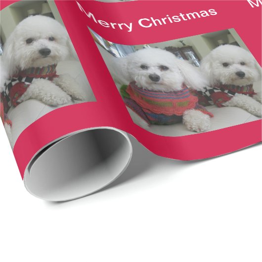 Een bichon-kerst. cadeaupapier (Rol Hoek)