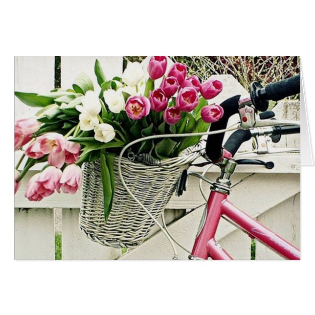 EEN BICYCEL GEBOUWD VOOR HAAR (Voorkant Horizontaal)