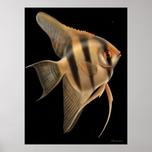 Eén Big Angelfish print (Voorkant)