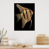 Eén Big Angelfish print (Keuken)