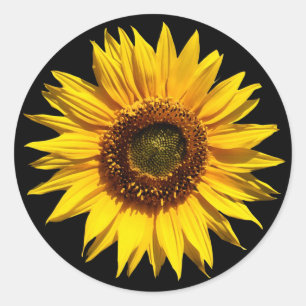 Een Big Yellow Sunflower Ronde Sticker