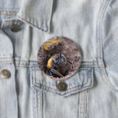 Een bij op een badge ronde button 7,6 cm (In situ)