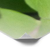 Een bij op één pagina poster (Hoek)