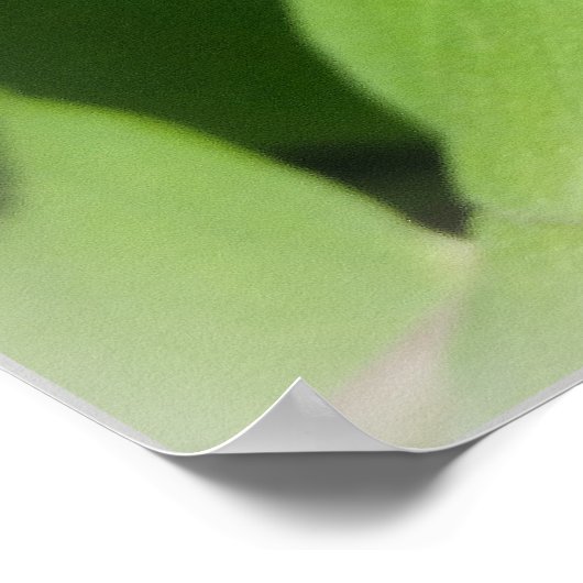 Een bij op één pagina poster (Hoek)