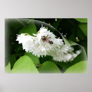 Een bij op één pagina poster