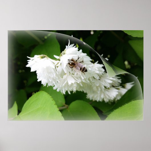 Een bij op één pagina poster (Voorkant)