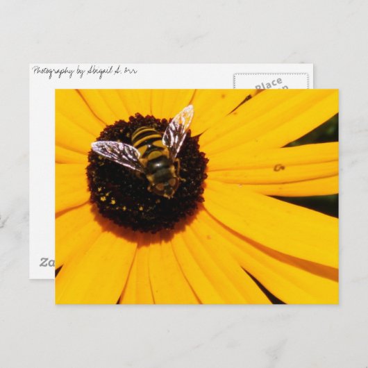 Een bijenleven briefkaart (Voorkant / Achterkant)