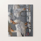 Een bijzondere groep sneeuwganzen legpuzzel (Verticaal)