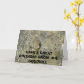 Een bithday kaart van een eekhoorn (Gele Bloem)