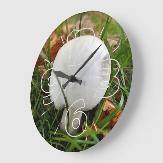 Een bittere paddenstoel grote klok (Hoek)