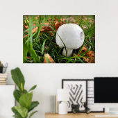 Een bittere paddenstoel poster (Thuiskantoor)