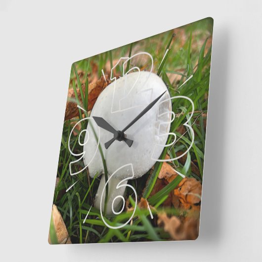 Een bittere paddenstoel vierkante klok (Hoek)