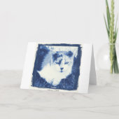 Een blauwe dag? kaart (Achterkant)