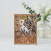 Een blauwe heron kunst briefkaart (Staand voorkant)