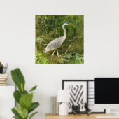 Een blauwe heron kunst poster (Thuiskantoor)