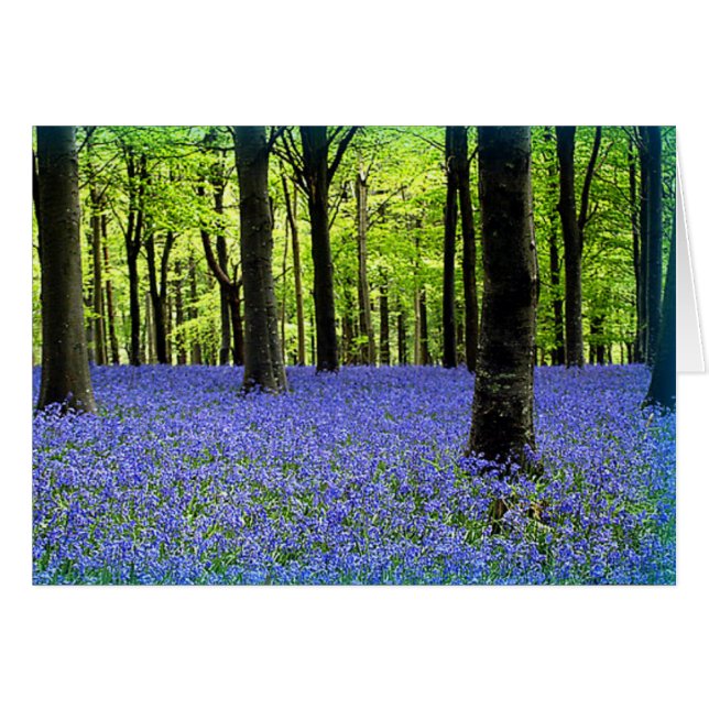 Een blauwe nevel (Voorkant Horizontaal)