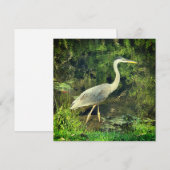 Een blauwe reiger (Voorkant / Achterkant)