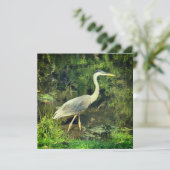 Een blauwe reiger (Staand voorkant)