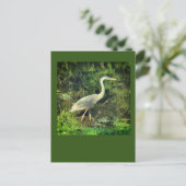 Een blauwe reiger briefkaart (Staand voorkant)