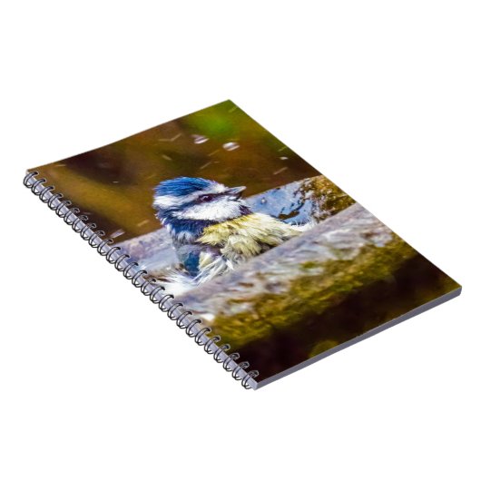 Een blauwe tit in het bad notitieboek (Rechterzijde)