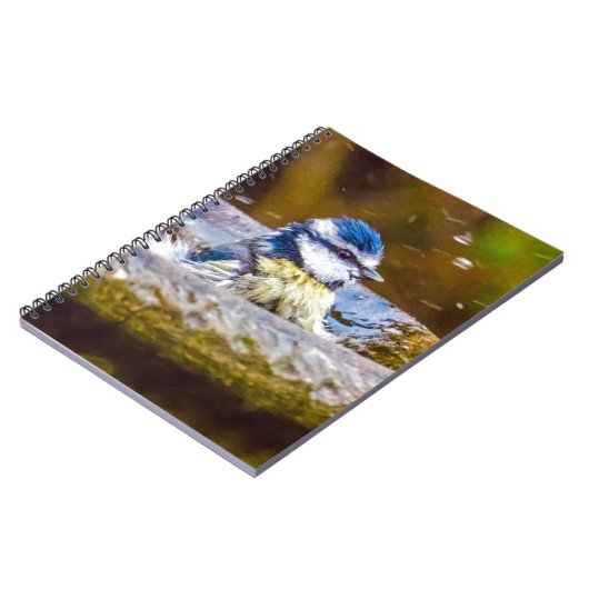 Een blauwe tit in het bad notitieboek (Linkerzijde)