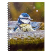 Een blauwe tit in het bad notitieboek (Voorkant)