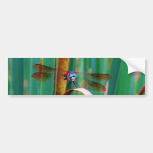 Een blauwgroen eyed Dragonfly met staarten Bumpersticker