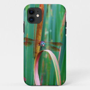 Een blauwgroen eyed Dragonfly met staarten Case-Mate iPhone Case
