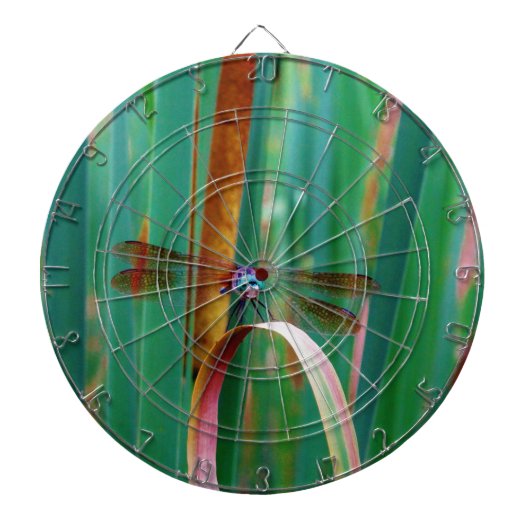 Een blauwgroen eyed Dragonfly met staarten Dartbord (Voorkant)