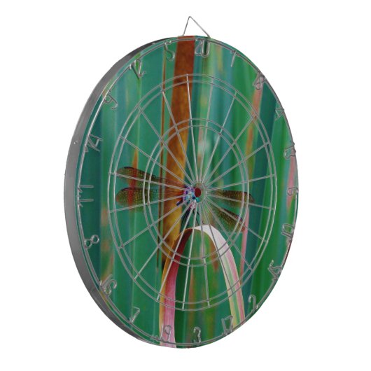 Een blauwgroen eyed Dragonfly met staarten Dartbord (Voorkant Links)