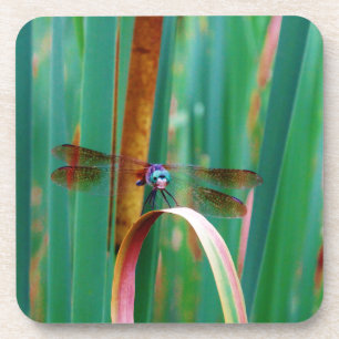 Een blauwgroen eyed Dragonfly met staarten Drankjes Onderzetter