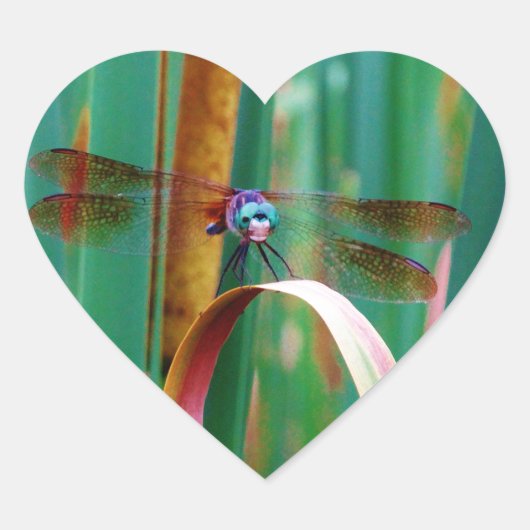 Een blauwgroen eyed Dragonfly met staarten Hart Sticker (Voorkant)
