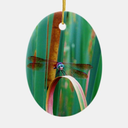 Een blauwgroen eyed Dragonfly met staarten Keramisch Ornament (Voorkant)