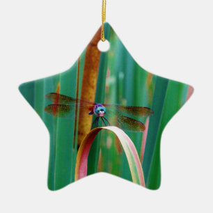 Een blauwgroen eyed Dragonfly met staarten Keramisch Ornament