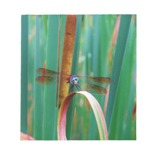 Een blauwgroen eyed Dragonfly met staarten Notitieblok