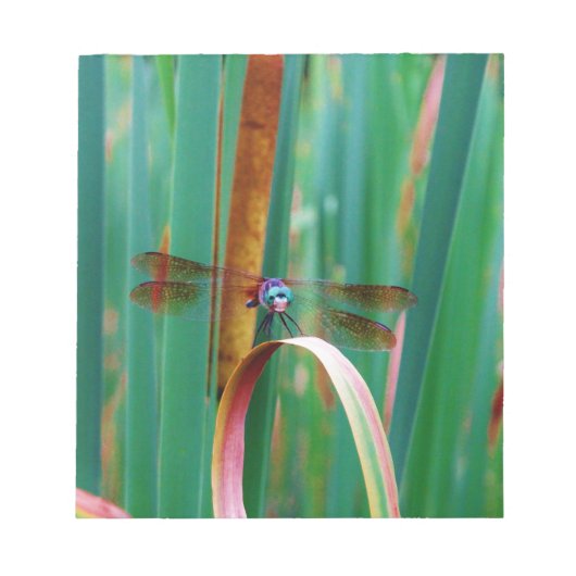 Een blauwgroen eyed Dragonfly met staarten Notitieblok (Voorkant)