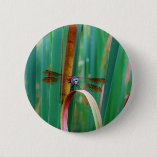 Een blauwgroen eyed Dragonfly met staarten Ronde Button 5,7 Cm