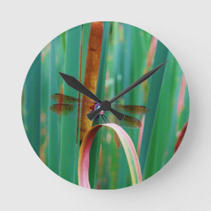 Een blauwgroen eyed Dragonfly met staarten Ronde Klok
